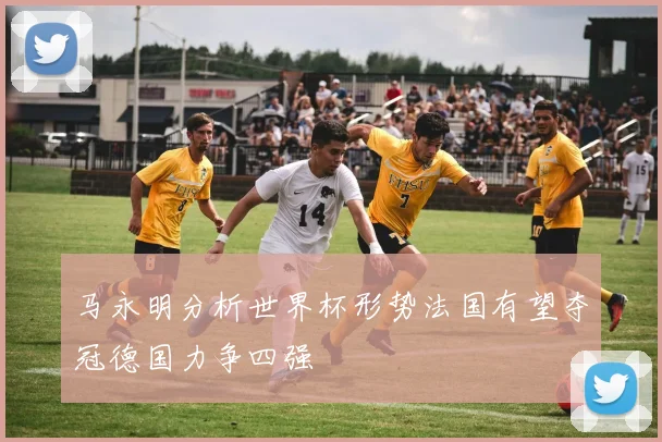 马永明分析世界杯形势法国有望夺冠德国力争四强